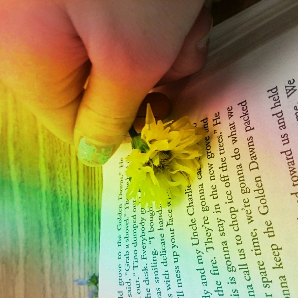 Meet your Posher, Madison